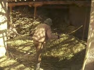 Fabrication du haschich en afghanistan